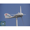 china small wind power turbine generator 300W,suitable for street light